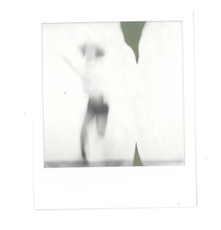 JUMPING is one of my favorite things to do. I used the NOISE TRIGGER setting on the app—jumped and barked loudly at the apex of the jump. It is not my best jumping photo, but I keep reminding myself....WARHOL!